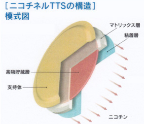 ニコチン置換療法（ニコチネルTTS）